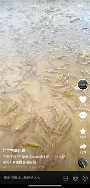 “广东一海滩涌现大量海虾”系谣言，原视频作者发声：不要相信1