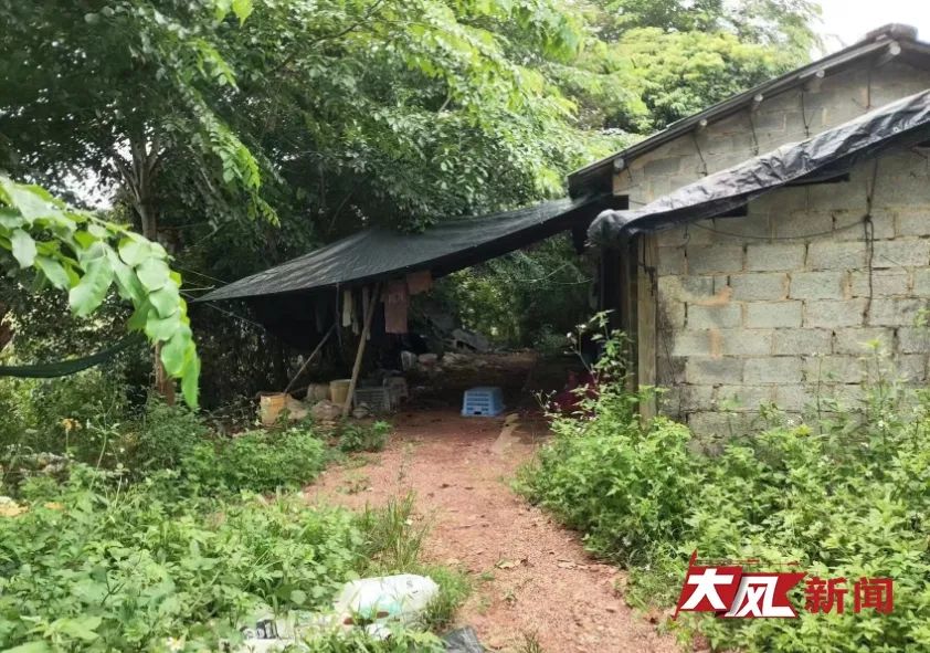 女子遭性侵未立案跳水库自杀？警方最新回应，涉案细节曝光2