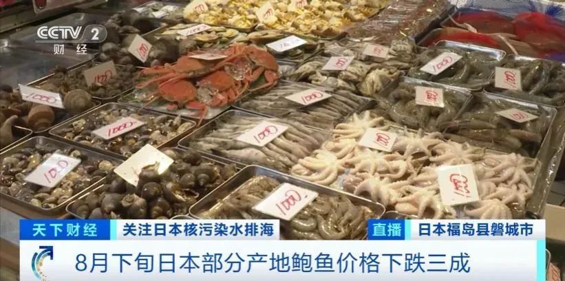 日本公布核污染水排放后鱼类检测结果：样本只有两条 日企心态崩了2