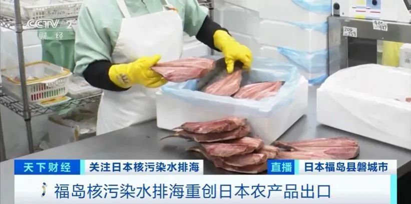 日本公布核污染水排放后鱼类检测结果：样本只有两条 日企心态崩了3