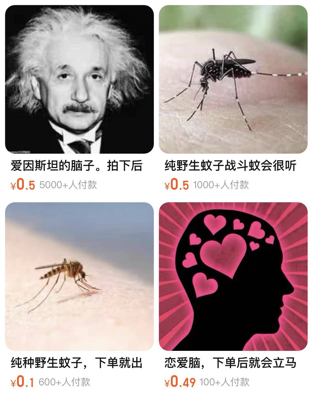 “爱因斯坦的脑子”在网上卖了两万份！“情绪产品”到底是不是〝无厘头”？2