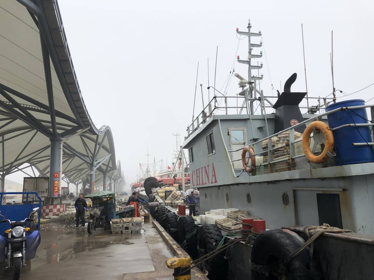 江苏海鲜近日价格上涨20%以上,日本核污水入海对江苏海洋渔业影响多大?1