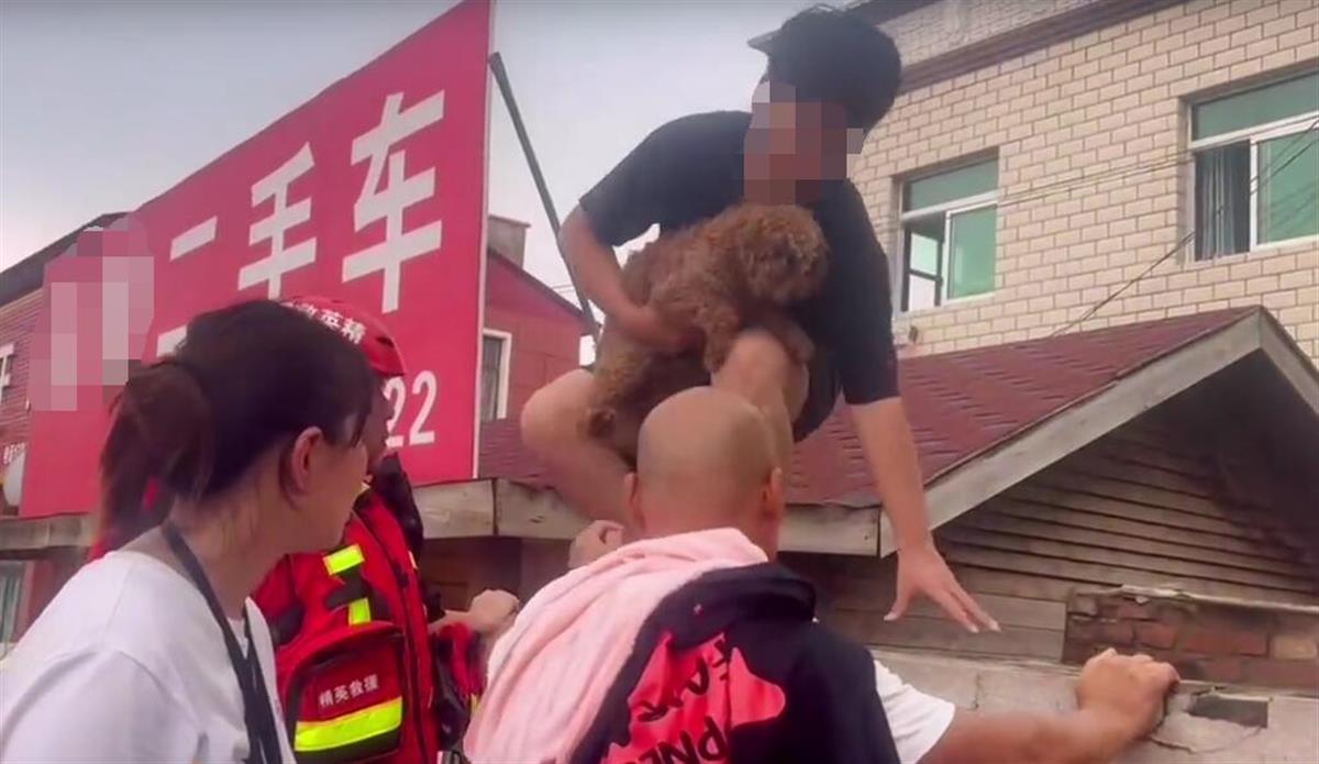 救援队回应“涿州男子被救时折返救狗”：当时船上共有15人，发视频初衷是科普“先急后缓”救援法则