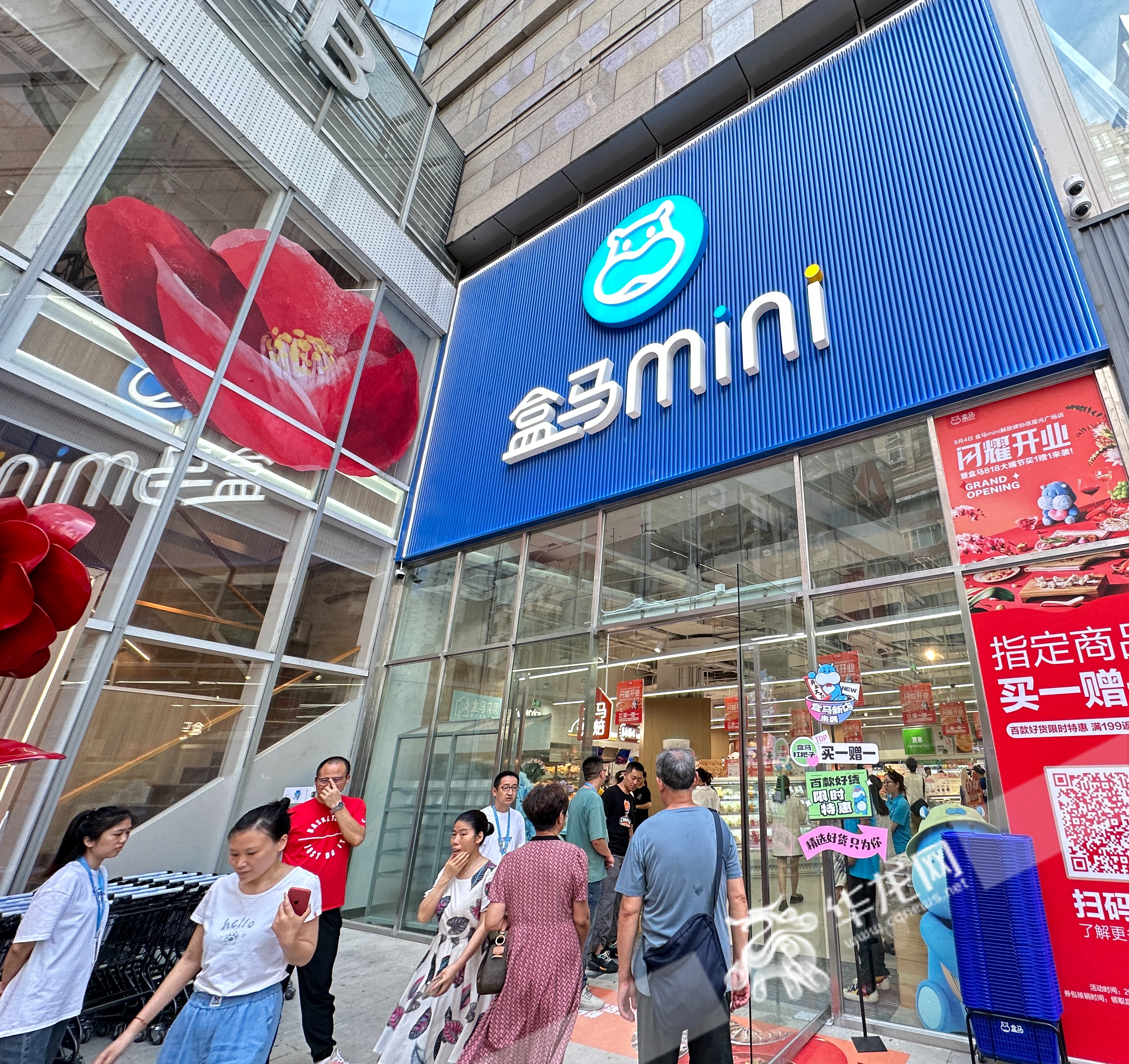 盒马mini落户解放碑。华龙网-新重庆客户端记者 刘钊 摄