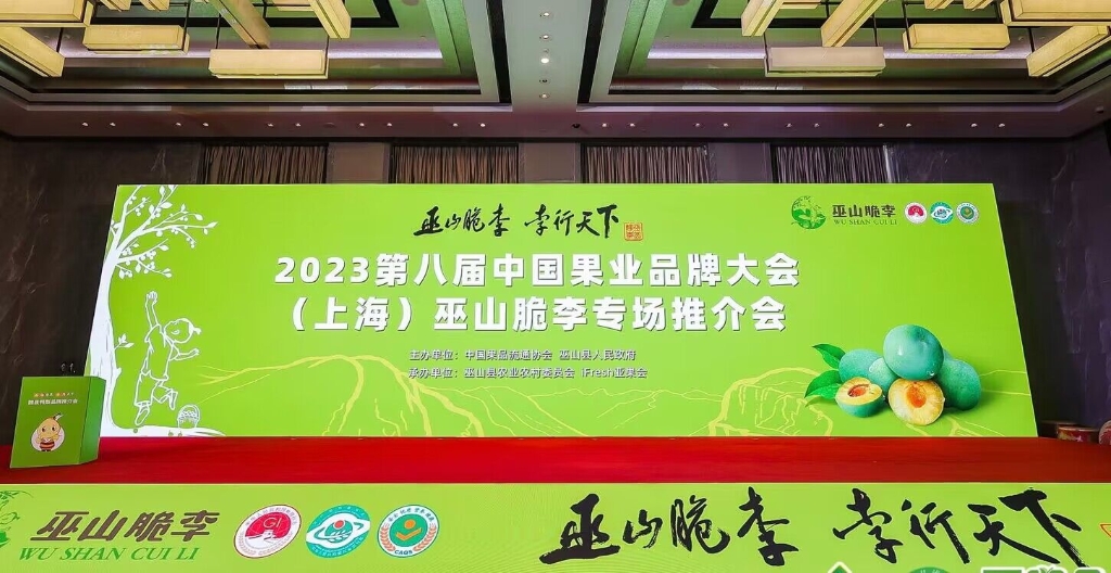 巫山脆李亮相第八届中国果业品牌大会。 巫山县果业发展中心供图