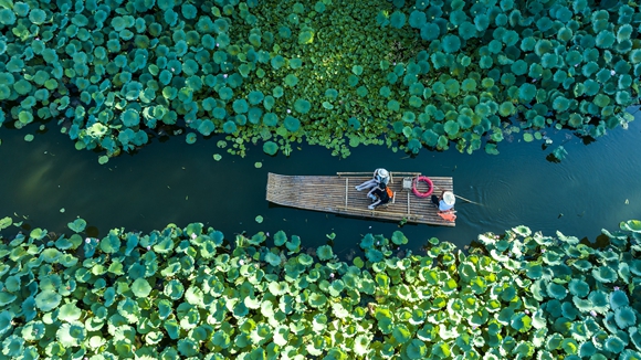 游客在黄山市徽州区呈坎古村乘竹筏游览。