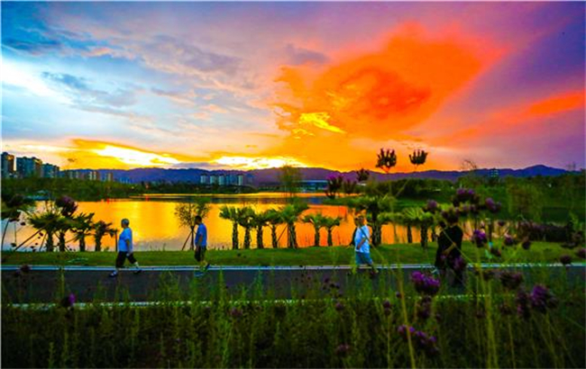 盛夏的三合湖湿地公园。通讯员 龚长浩 摄