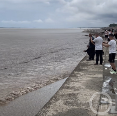 多人钱塘江翻栏观潮拍视频被卷倒，文旅局：每年都提醒总有人不听4