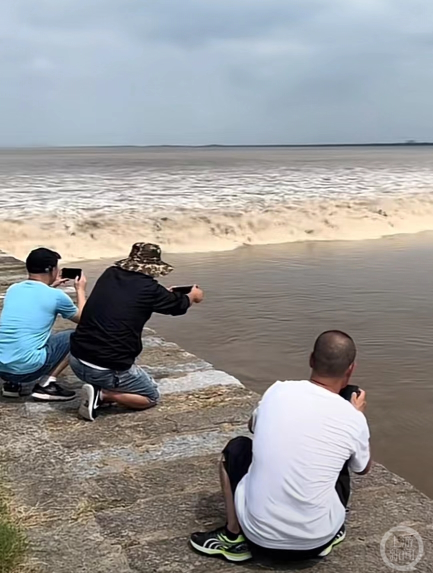 多人钱塘江翻栏观潮拍视频被卷倒，文旅局：每年都提醒总有人不听2
