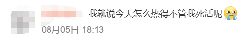 38℃挤不进前十！全国人民都在盼秋凉：立秋了，但没完全立15