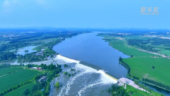 气势磅礴！山东东平戴村坝呈现“龙吟鱼跃”壮丽景观2