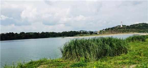 安居湿地公园一景。通讯员 赵武强 摄