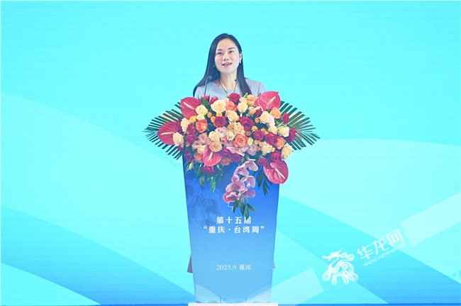 重庆市商务委员会副主任叶力娜就重庆营商与投资环境推介。华龙网记者-李梦婷-摄