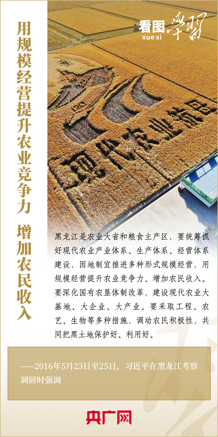 看图学习丨当好国家粮食稳产保供“压舱石”是东北的首要担当6