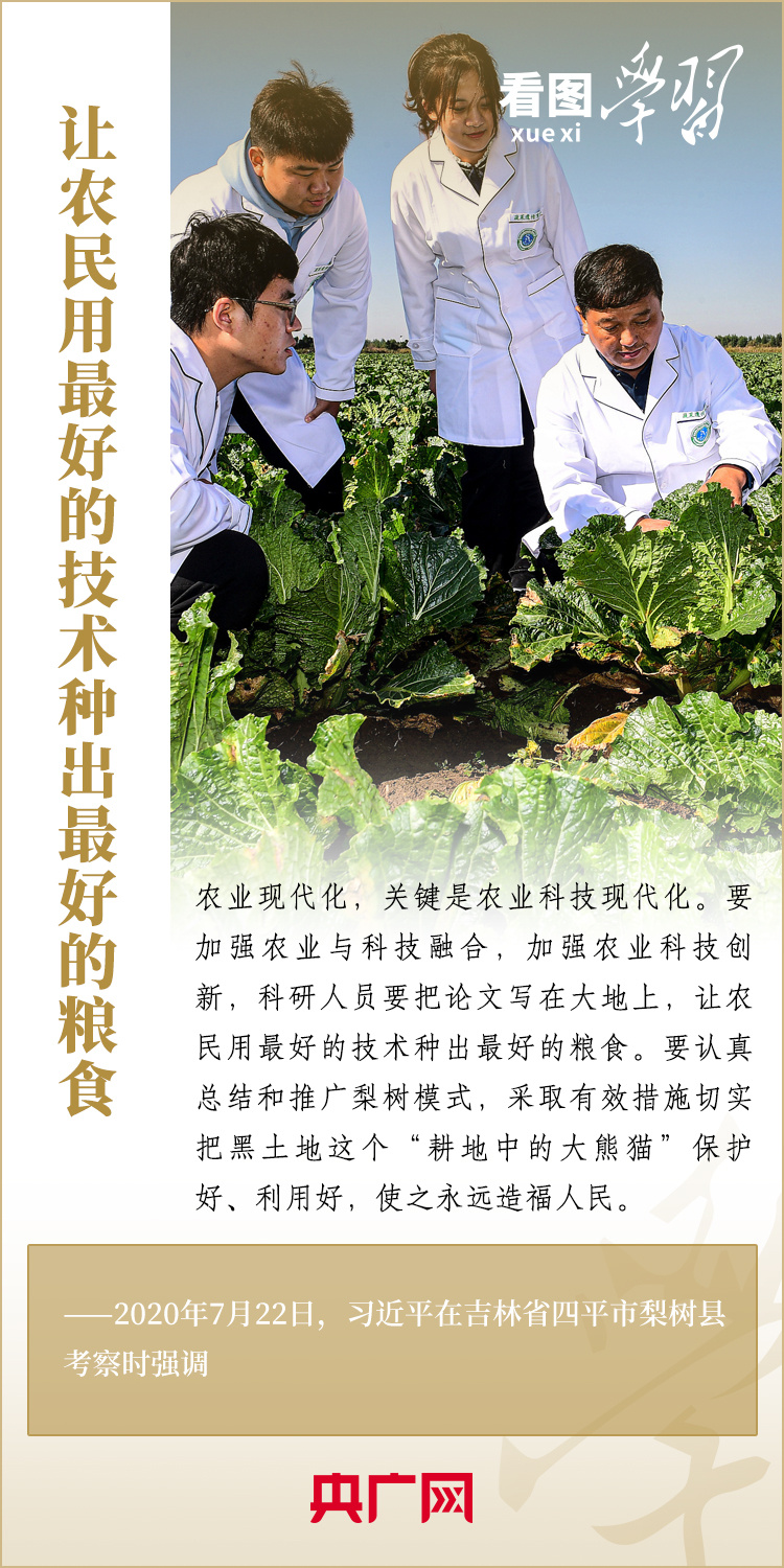 看图学习丨当好国家粮食稳产保供“压舱石”是东北的首要担当3