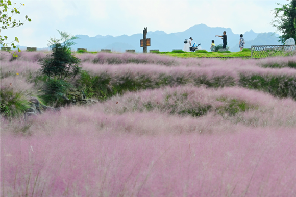 Stacked Stone Flower Valley Scenic Spot. (Photographed by Chen Bisheng)