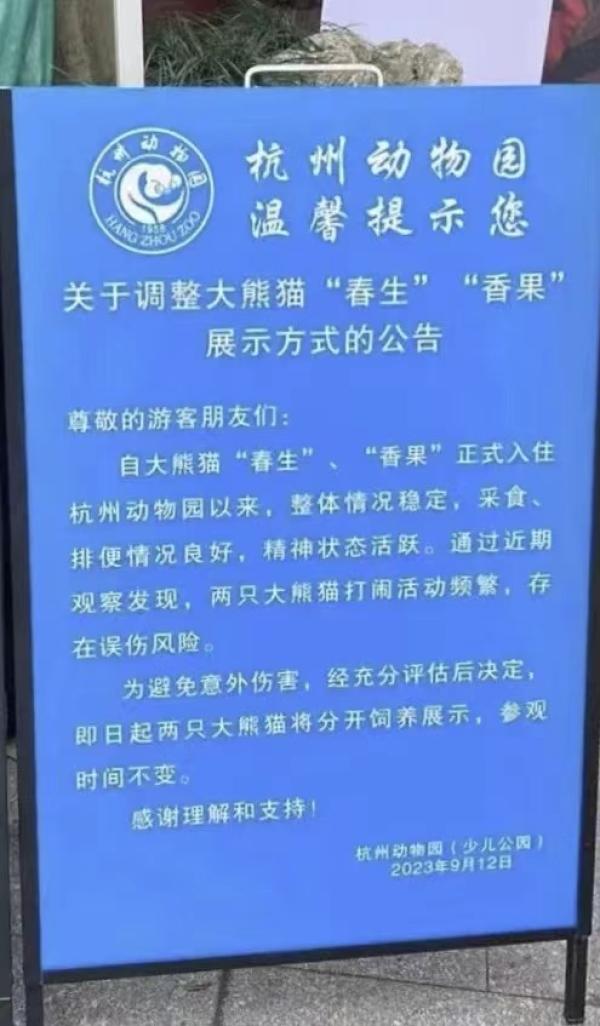 因频繁打闹各住单间,杭州动物园两只大熊猫已分开饲养1