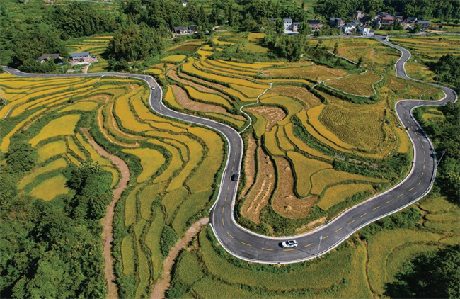 The scenery of the countryside is picturesque. (Photo provided by Wang Jinghua, reporter from Qijiang Daily)
