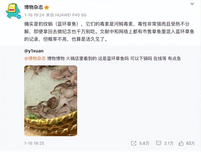 男子网购3袋八爪鱼发现有2只蓝环章鱼，1只毒性可致26人死亡，当事人：差点就吃了，店铺：已下架4