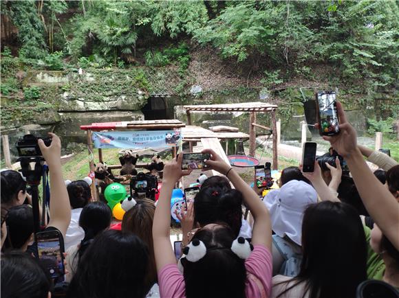前来参加生日会的粉丝和游客们纷纷拿出相机、手机，“长枪短炮”等待寿星熊猫的出现。通讯员范永根 摄