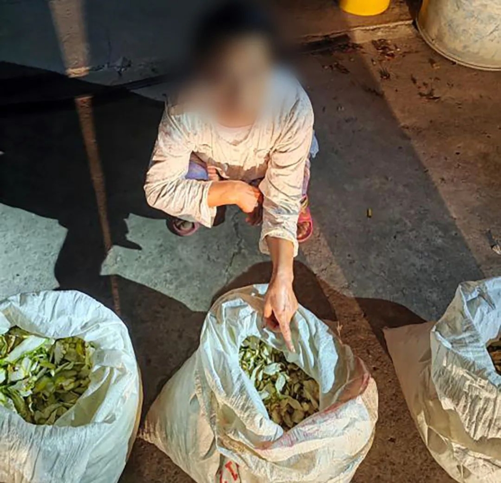 被盗的“佛手”。警方供图
