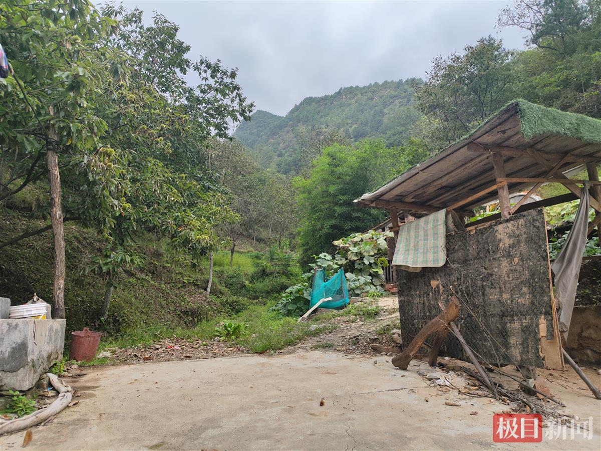 陕西商洛一小视频基地宣称投资1.5亿元，建设一年半仅见门楼，项目曾获多部门认可3