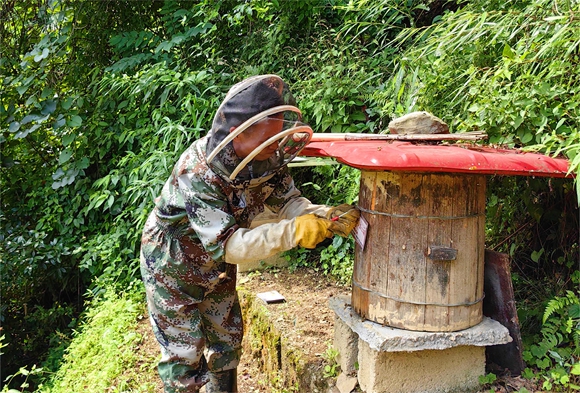 蜂农王得兵全副武装为蜂桶挂牌。 柯燕 摄