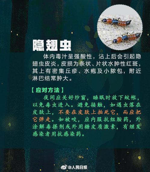 女子捏死隐翅虫手臂被腐蚀7天还没好，飞虫落在身上怎么办？6