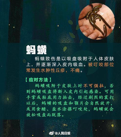 女子捏死隐翅虫手臂被腐蚀7天还没好，飞虫落在身上怎么办？5