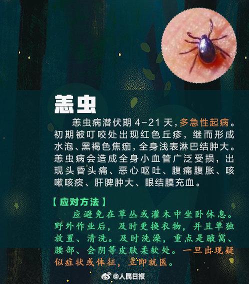 女子捏死隐翅虫手臂被腐蚀7天还没好，飞虫落在身上怎么办？9