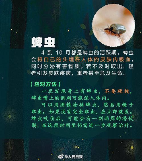 女子捏死隐翅虫手臂被腐蚀7天还没好，飞虫落在身上怎么办？3