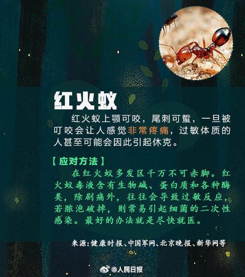 女子捏死隐翅虫手臂被腐蚀7天还没好，飞虫落在身上怎么办？10