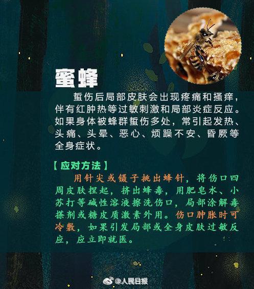 女子捏死隐翅虫手臂被腐蚀7天还没好，飞虫落在身上怎么办？8
