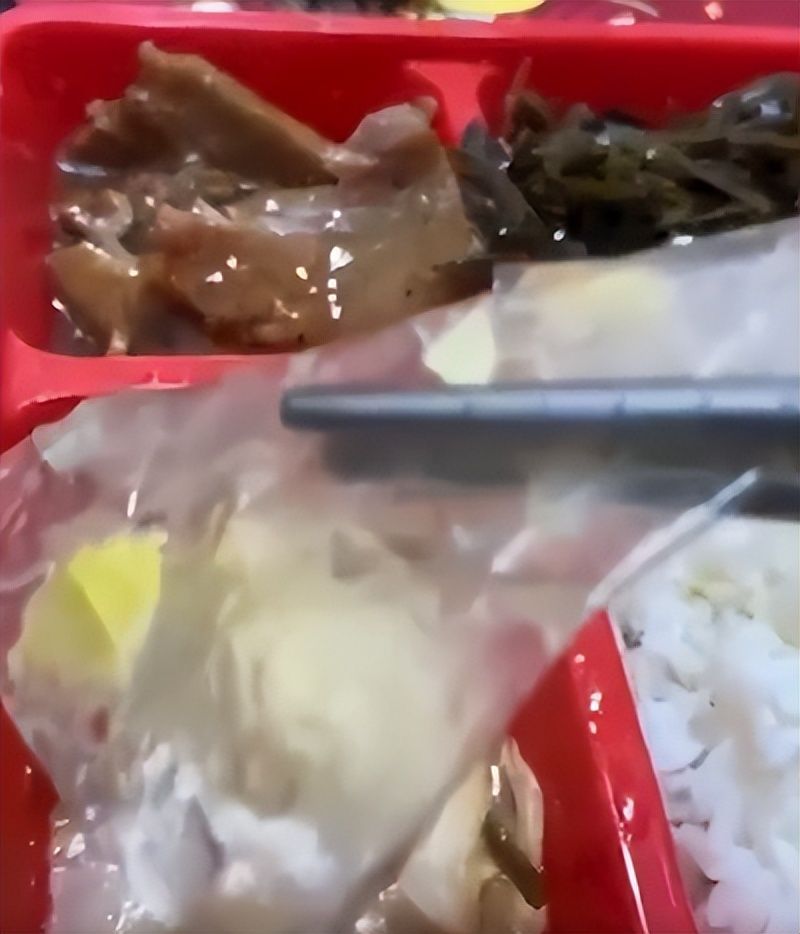 多地引发“预制菜进校园”担忧，有家长辞职送饭4