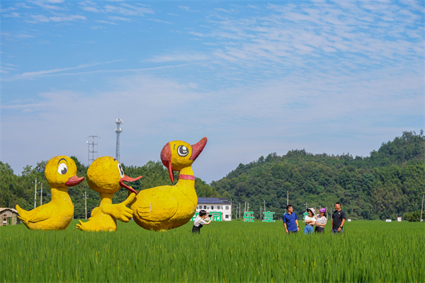 游客在太阳镇的太阳米基地游玩。新华社记者 徐昱 摄