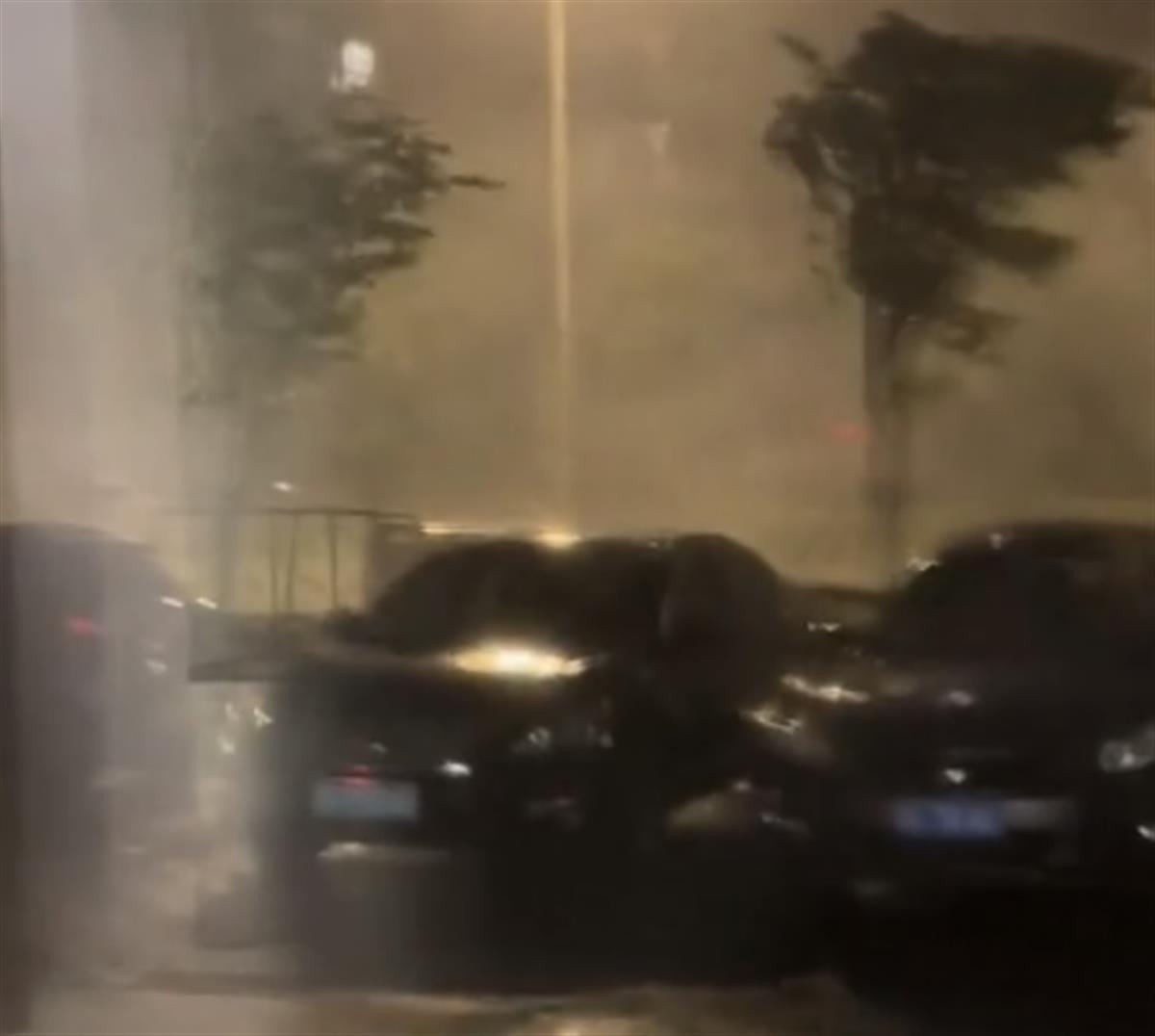 台风“苏拉”凌晨登陆珠海，市民：窗户哐啷作响，树木被连根拔起