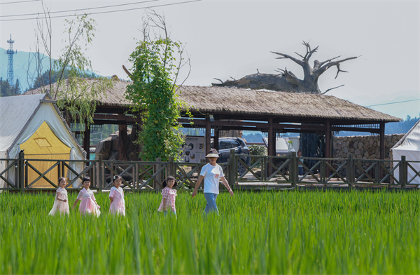 太阳米基地的负责人陈梅芳（右）在给来太阳镇参加乡村研学游的小朋友讲解水稻种植知识。新华社记者 徐昱 摄