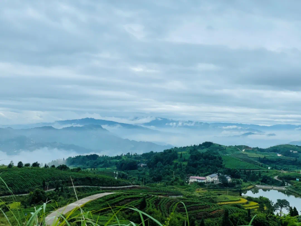 Some new villages in China have become ideal destinations for a trip. (Photo provided by the Chongqing Municipal Commission of Agriculture and Rural Affairs)