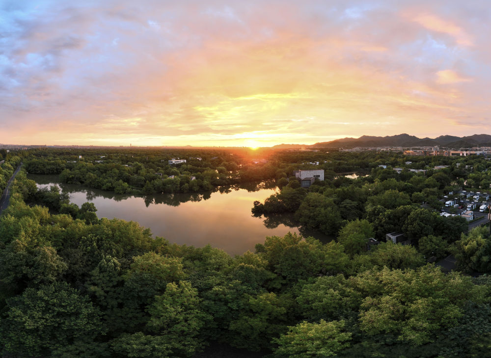 第1视点｜心心相融，绽放亚洲之光17