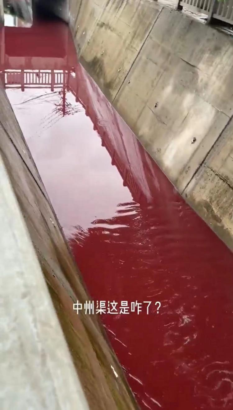 洛阳中州渠渠中流淌血红色的水？水利局回应