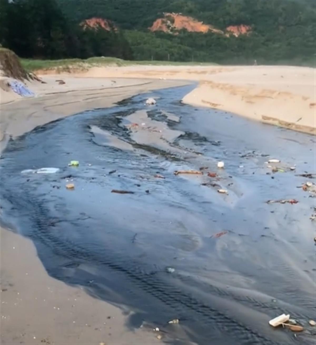 网友爆料广东茂名一景区海滩有污水排海,环保局:正在调查