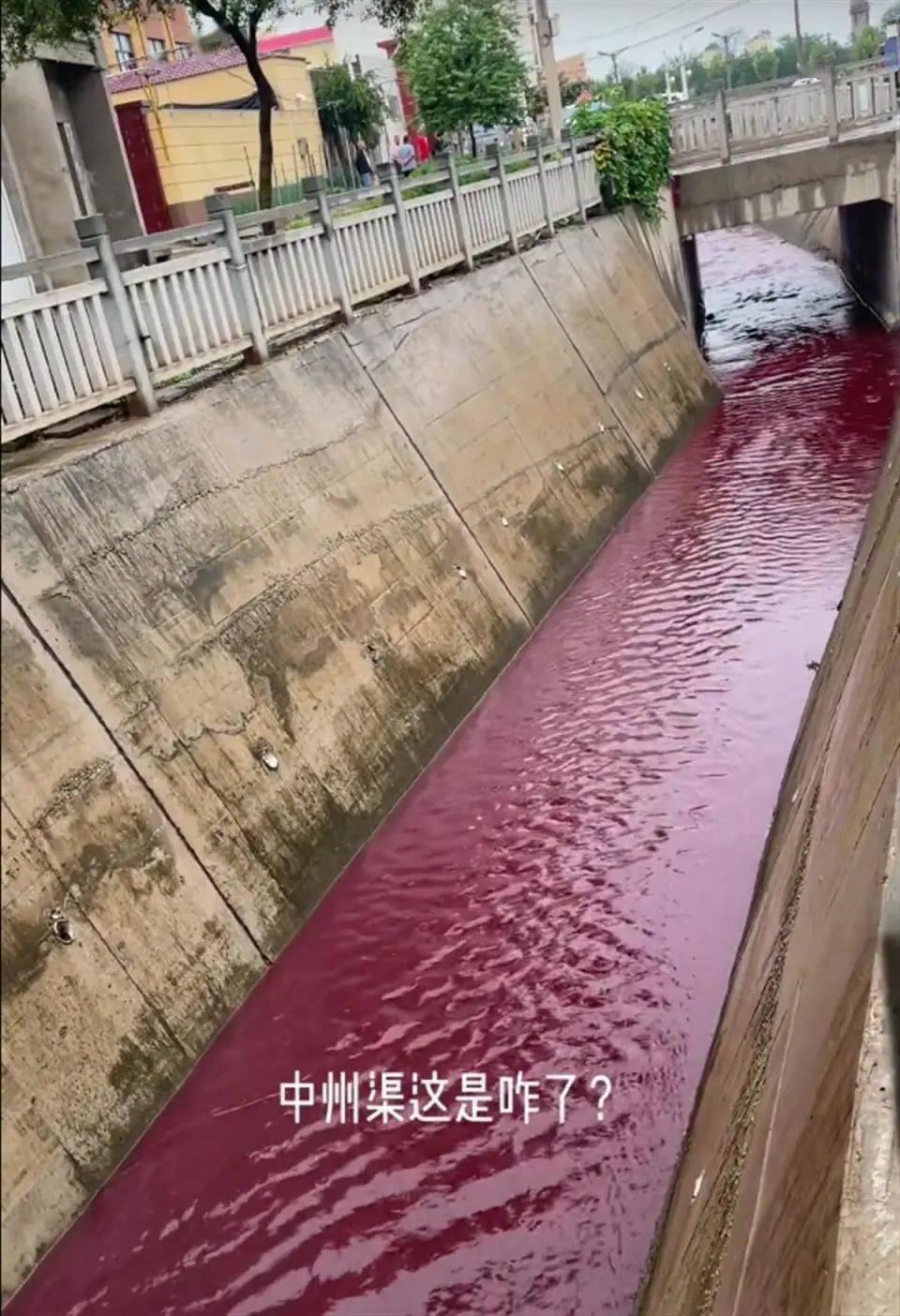 洛阳官方回应“中州渠水质变红”:现场查看未发红,已立案调查
