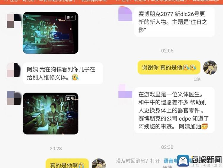 去世模型玩家在游戏里“重生” 其母亲：静静地在那里就好4