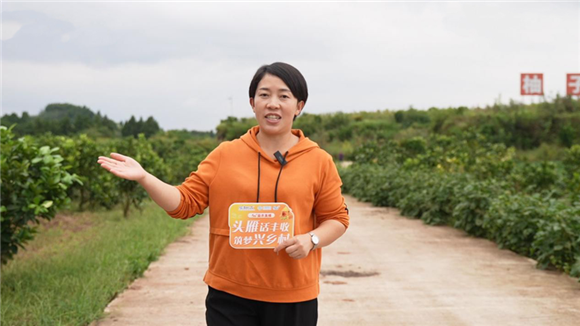 宝龙镇严寨村欧敏书记介绍宝龙蜜柚产业情况。通讯员 周伟 摄