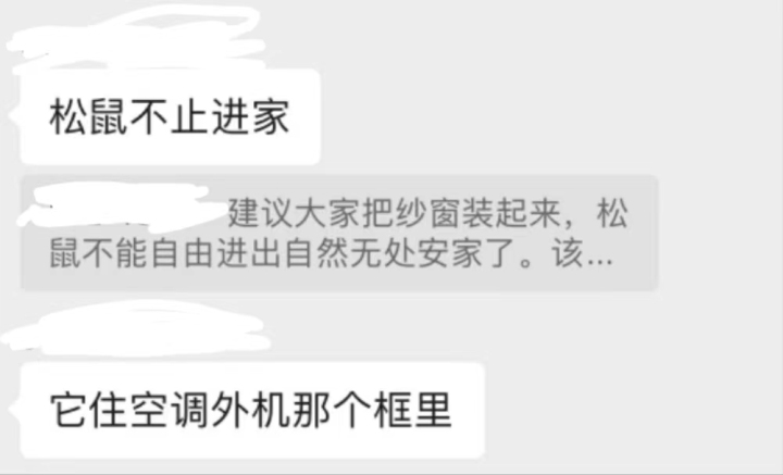 衢州多个小区松鼠成“灾”，19楼的业主也遭“空袭”，网友支招：干脆养着吧1