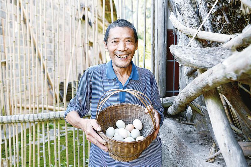 村民拾捡的新鲜鸡蛋。