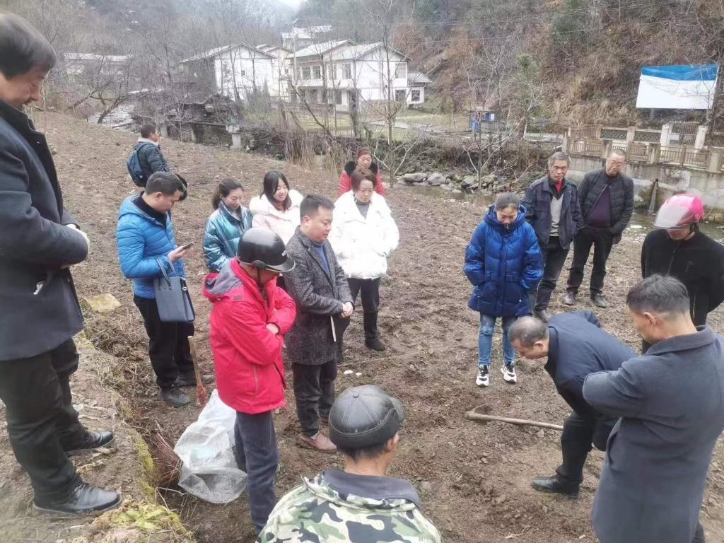 药材种植现场指导