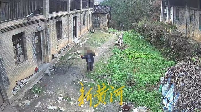 祖坟上栽种的柏树被盗伐后，被侵权人只收到退回的木头，精神损失该不该赔？1