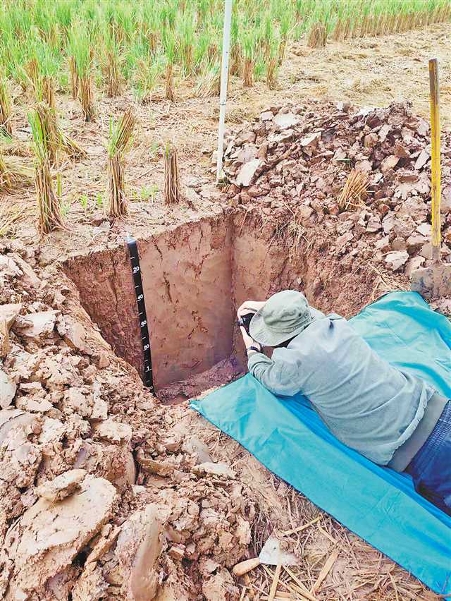 3年时间、1亿多亩农用地土壤、5万多个表层采样点、1492个剖面样——<br>重庆土壤“三普”：时隔40年 全面做“体检”2