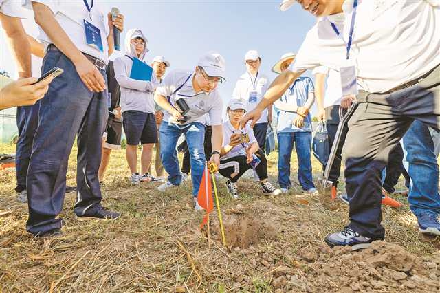 3年时间、1亿多亩农用地土壤、5万多个表层采样点、1492个剖面样——<br>重庆土壤“三普”：时隔40年 全面做“体检”1